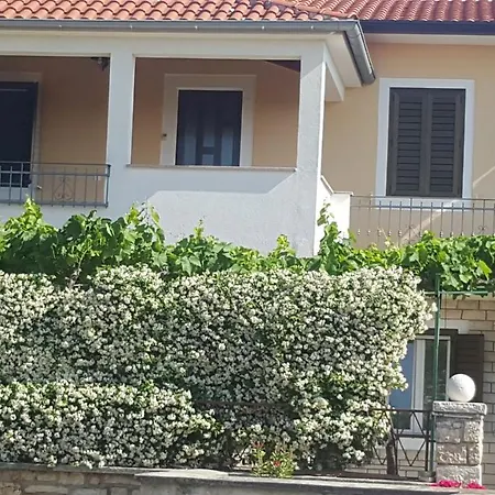 Haus Roko *